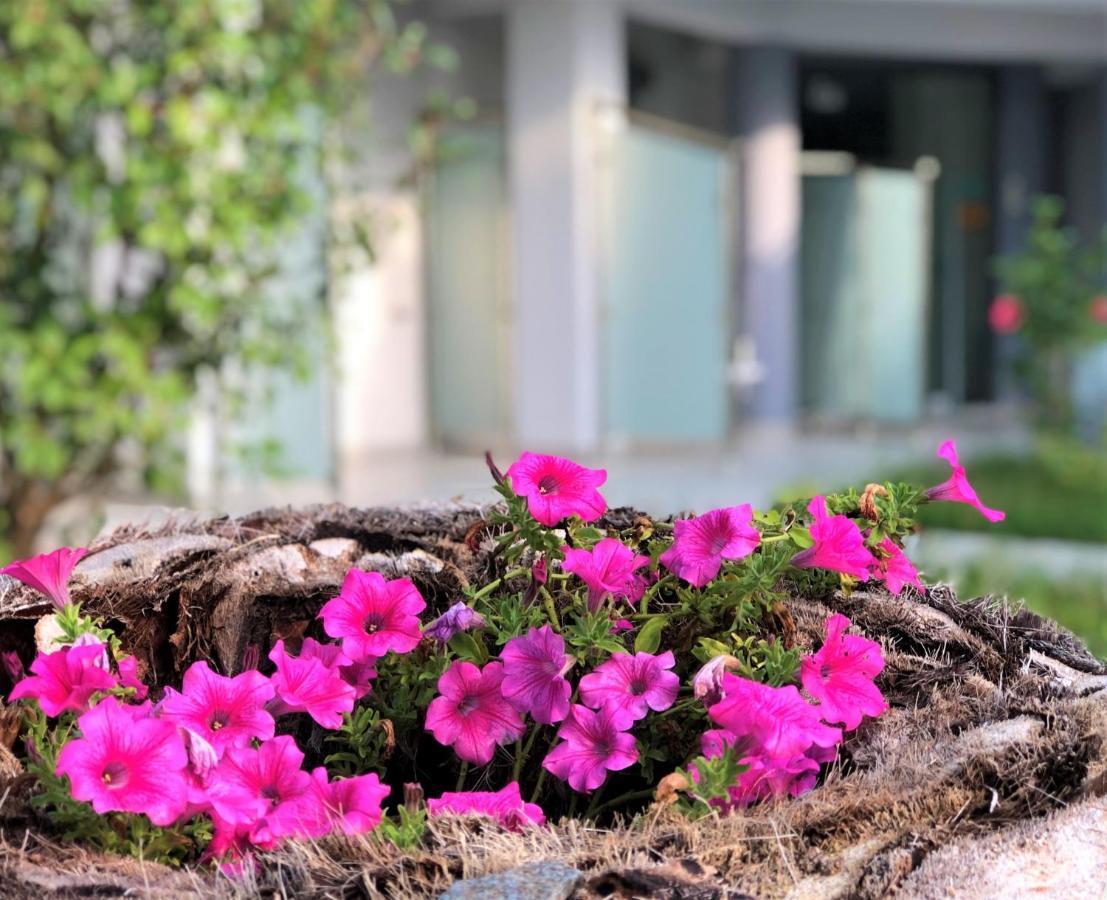 Nikiti Holidays Exterior photo